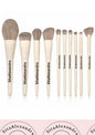 Homebrandsitaalexandra 10 piece Proffessional makeup brush set